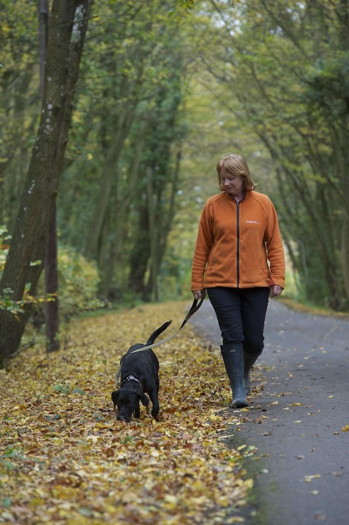 Walking in the woods